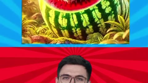 Quiz spider