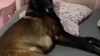 😂😴 When Getting Up Feels Like a Mountain! | FunFM