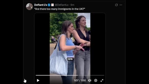 Are There Too Many Immigrants in the UK?