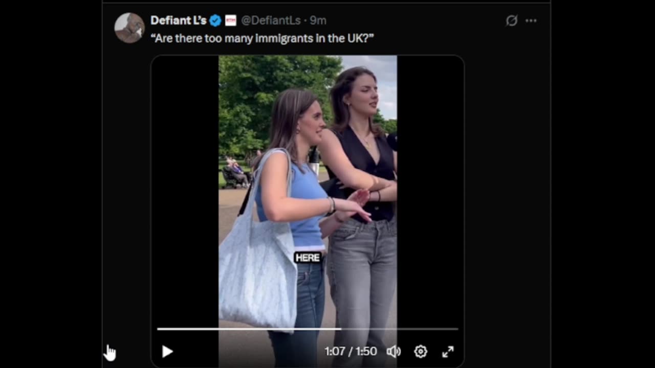 Are There Too Many Immigrants in the UK?