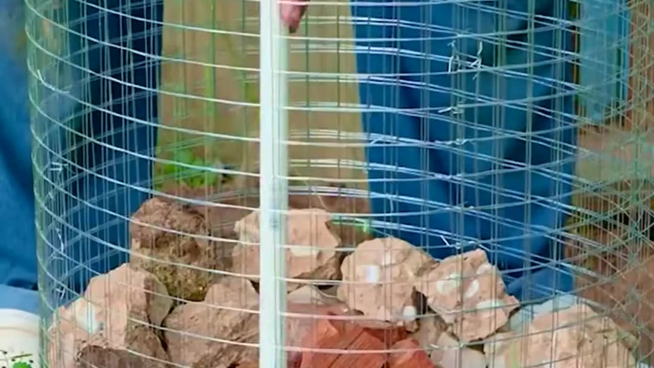 Quick Gardening Tips for Maximum Growth