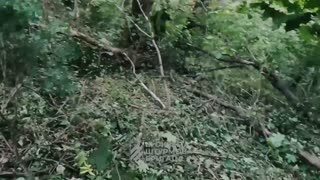 More Incredible Footage Celebrating The Day of The Infantryman in Ukraine