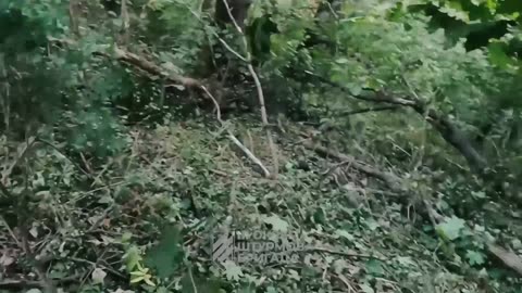 More Incredible Footage Celebrating The Day of The Infantryman in Ukraine