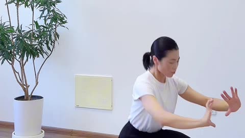 1169.太極不定法