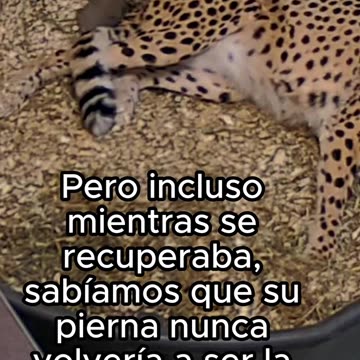 Animales también merecen felicidad ❤️