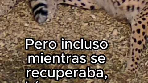 Animales también merecen felicidad ❤️