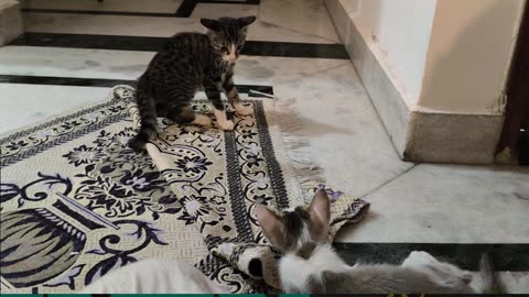 2nd Aug Wrench & Alt getting acclimatized with each other Part 4