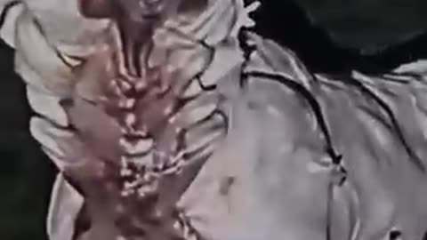 Incredible: Skinwalker Disguised As Animals ☢️ PRT-99 #viral #ytshorts