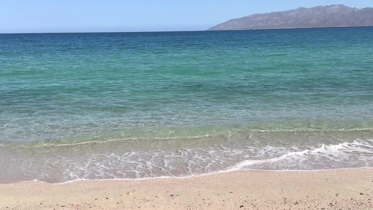 Designing AI for Business Growth