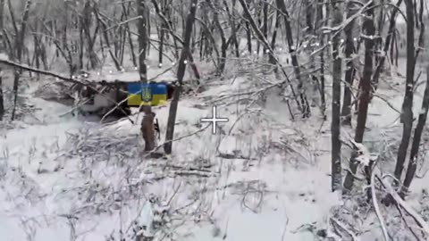 Pig Hunting in the Kupyansk Area
