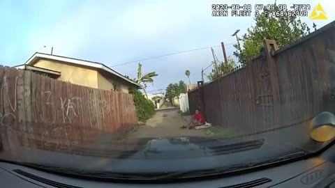 LAPD Smoke Illegal With a Gun