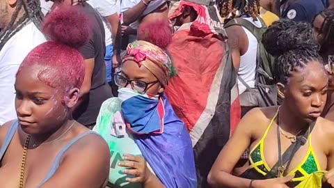Many people at the 58th Annual New York Carnival Parade.