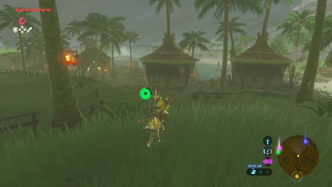 Lurelin Village – Zelda: BOTW (Switch 2)