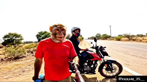 "Monkey Ki Mulaqat Ek Aur Vlogger Se 😲📸 | Vloggers Ka Faceoff! | Funny Crossover 2025"