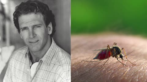 What Is Malaria? Aajonus Vonderplanitz