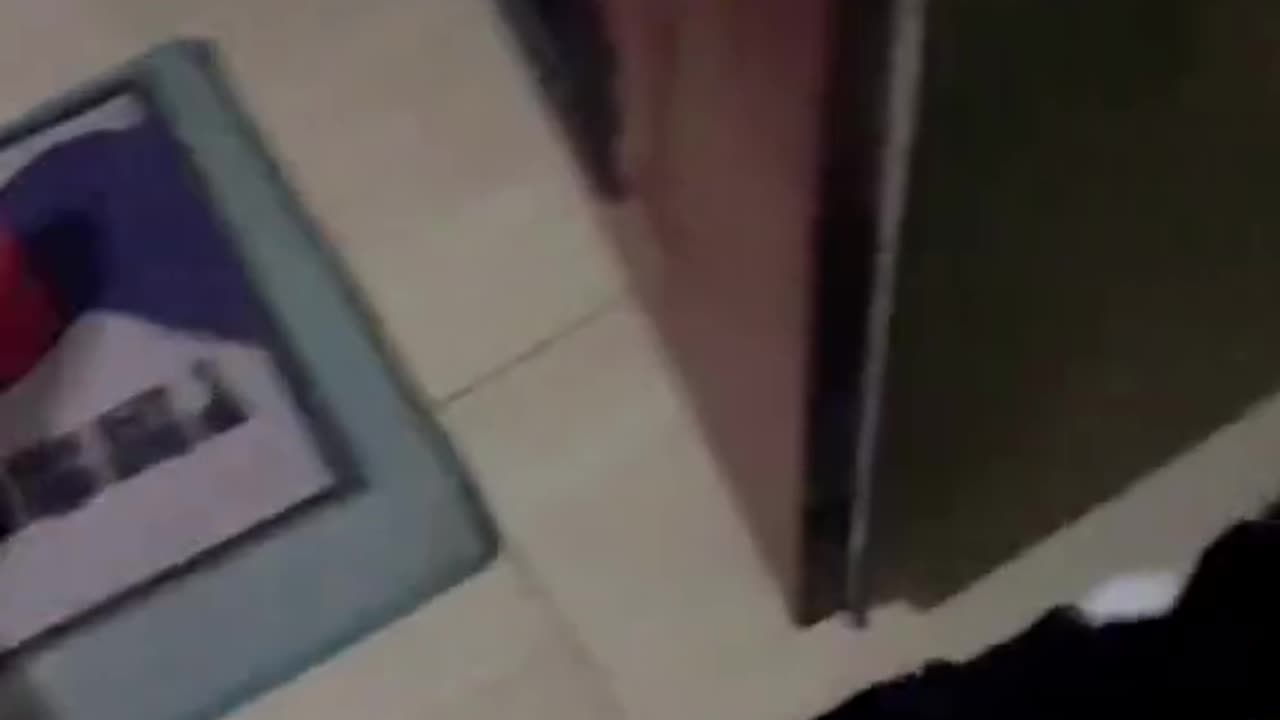 Welcome home cat