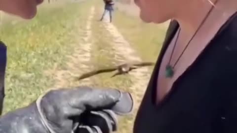 Perfect flight