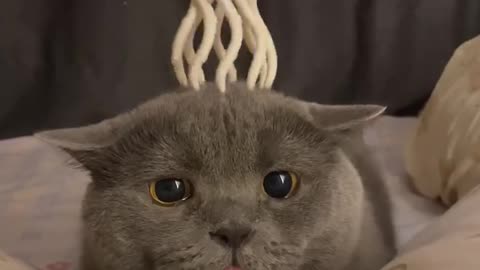 🤣 There's So Much Joy in Those Eyes! | FunFM