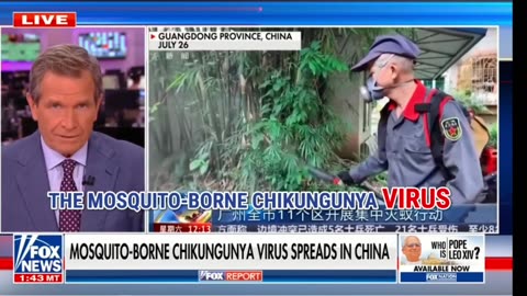 THE TRUTH ABOUT THE CURRENT CHINESE VIRUS