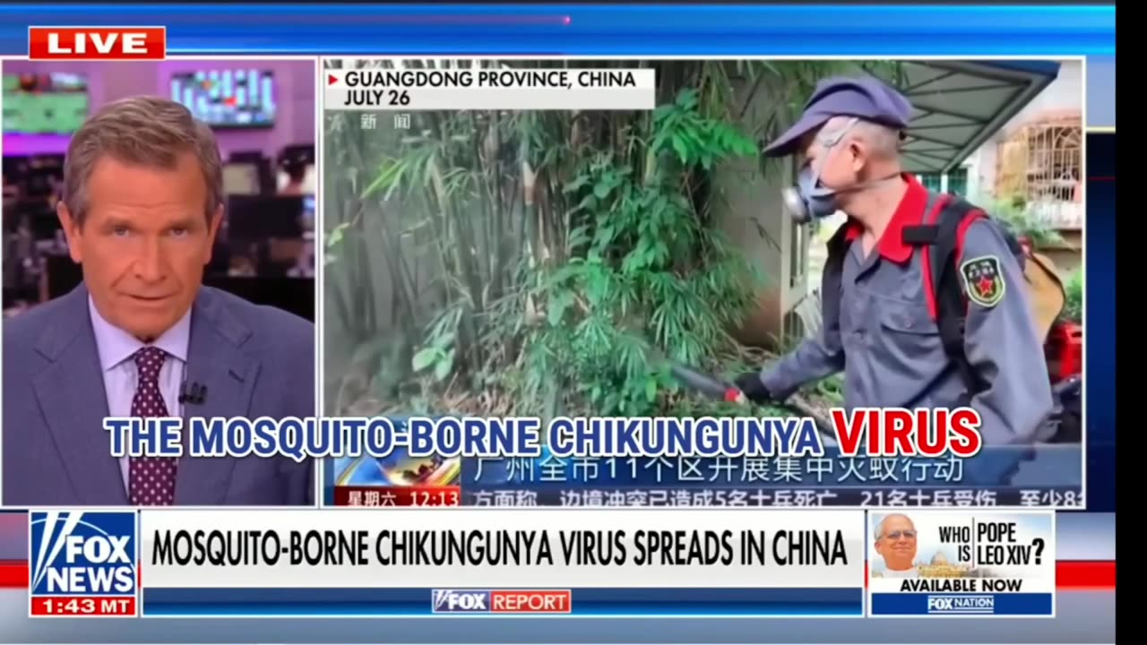 THE TRUTH ABOUT THE CURRENT CHINESE VIRUS