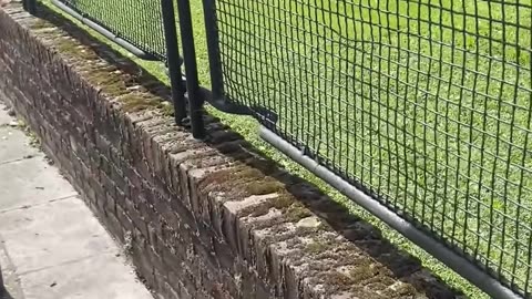 WW2 Stretchers used for fencing in London