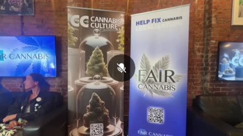 Pot TV LIVE