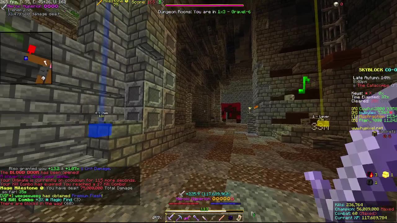 Skyblock FLOOR 7 [#1966]