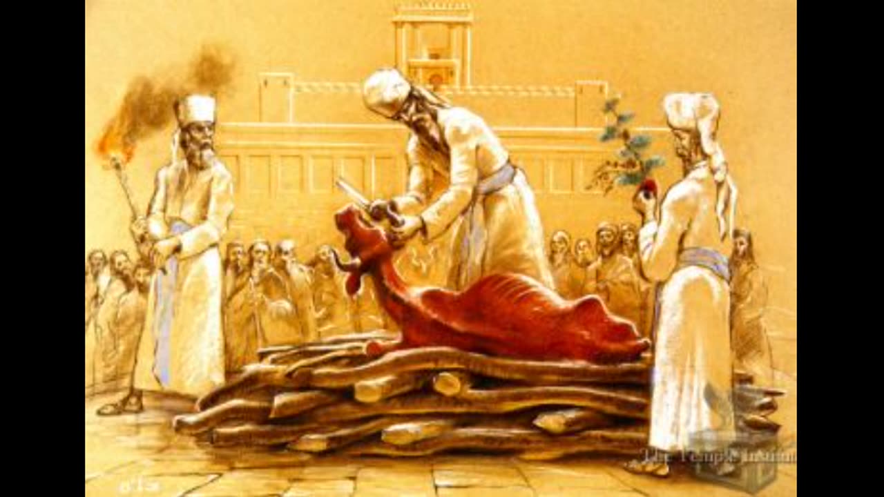 The Red Heifer sacrifice ? an opposing view. Re-incarnation in post Temple Judaism ?...or is it the 'Transmigration of Souls' (which are not one and the same) The Israelite's did not teach or believe in Re-incarnation