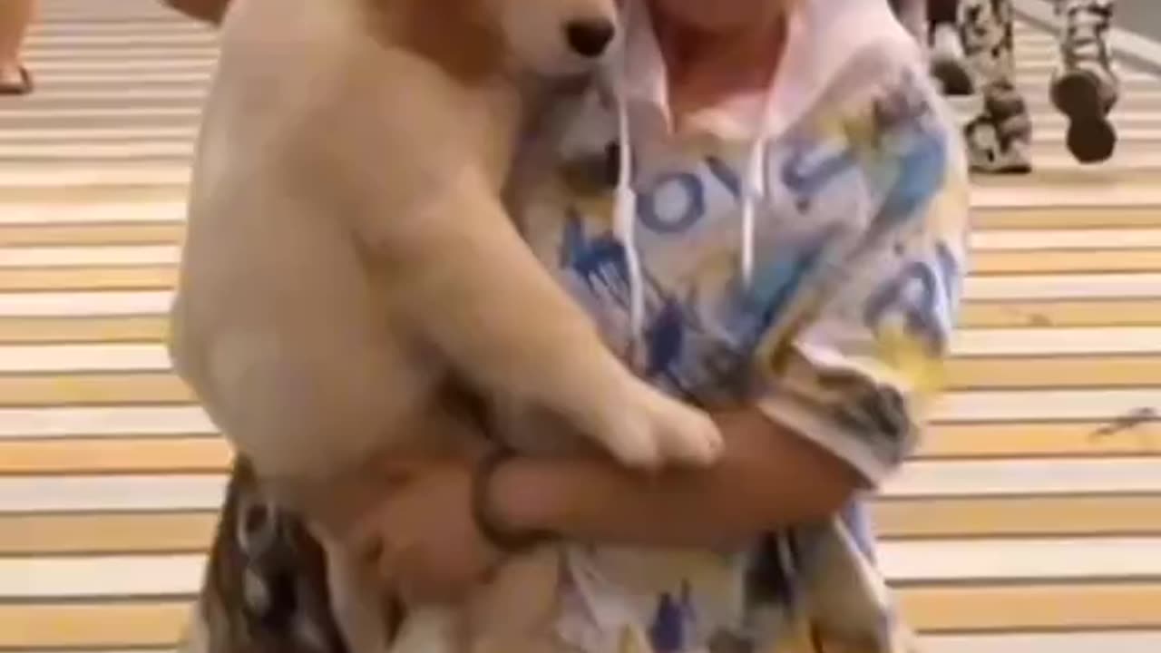 ​"Dog or Human? You decide! 🤔"