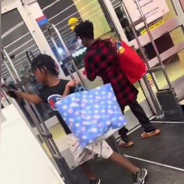 Diversity looting young