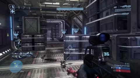 Halo Live Stream