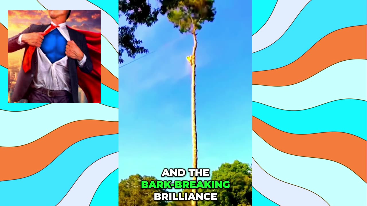Insane Tree Drop! Precision Chainsaw Work You Have to See 💥 #shorts #viral