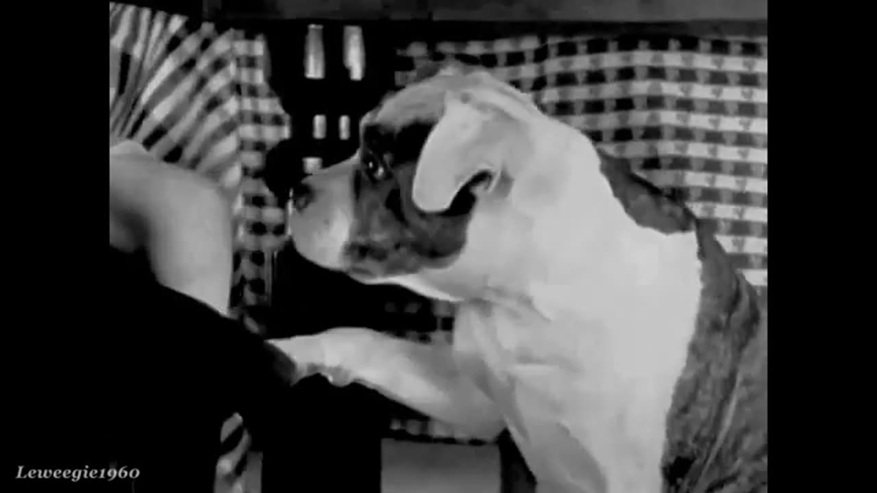y2mate.com - 71 Our Gang Rainy Days 1928_360p