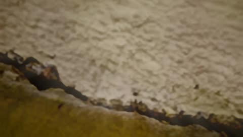 WAV - Vintage Error Mela