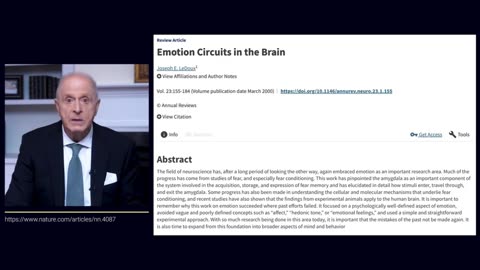 Scientists Have Discovered How A Person Becomes Mentally Unstable And Irrational