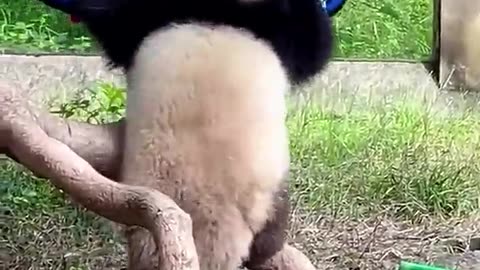 When at first you fail, try try again 😊