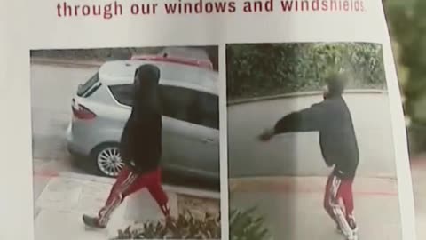BLACK HOODIE MAN THROWS ROCKS DESTROYS CAR WINDOWS AND HOUSE WINDOWS IN OAKLAND MY REACATION