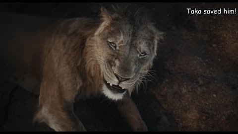 Mufasa The Lion King _ Taka Betrays Mufasa Scene
