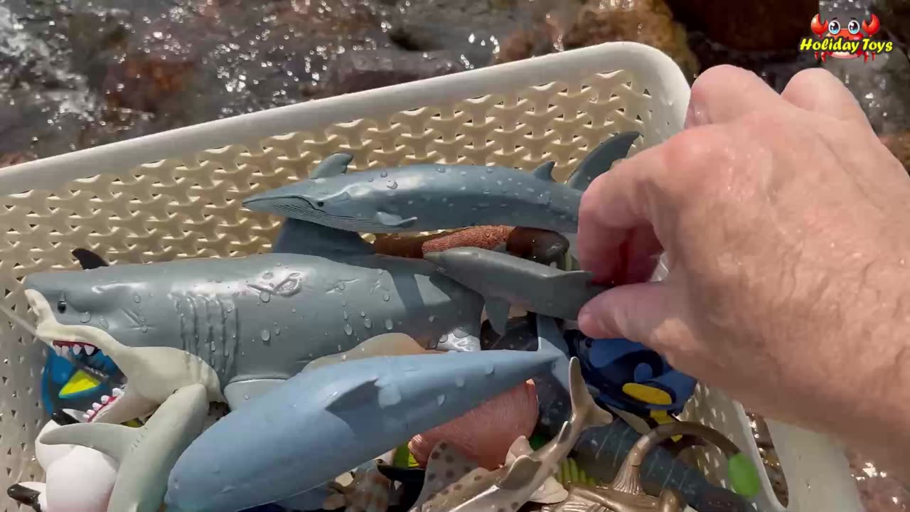 Shark Bones Can Stretch to Catch Fish in the Sea