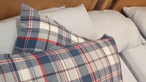 Happy almost New Year! Old & devoid of wisdom? It doesn't get any uglier than that! Part 1