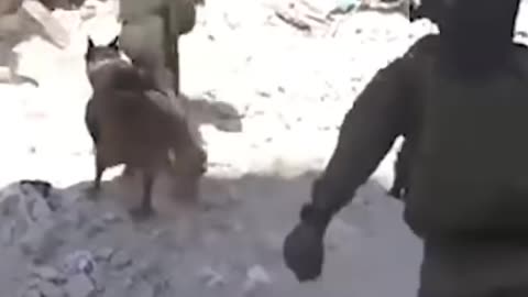 Israel-Hamas war: Israeli military releases footage claiming to show troops operating in Khan Younis