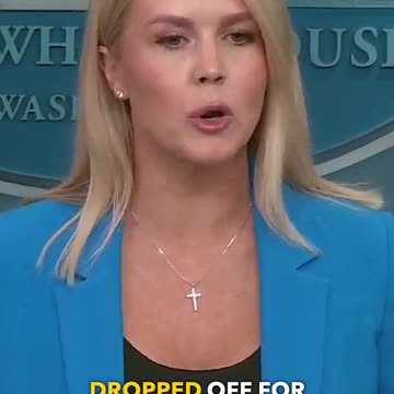 White House Investigates Funding of Insurrectionists in Los Angeles Protests