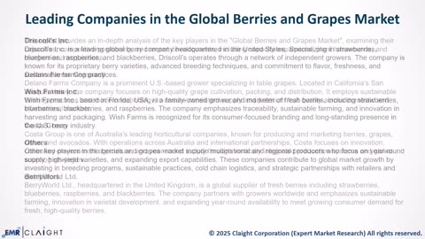 Global Berries and Grapes Market Size, Share, Trends 2034