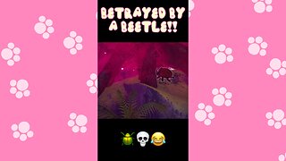 “He Is Not Your Friend” 🪲