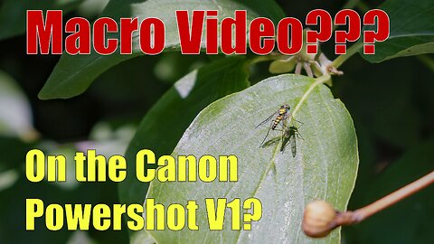 Canon Powershot V1 Macro Test – Stunning Insect & Nature Video Review