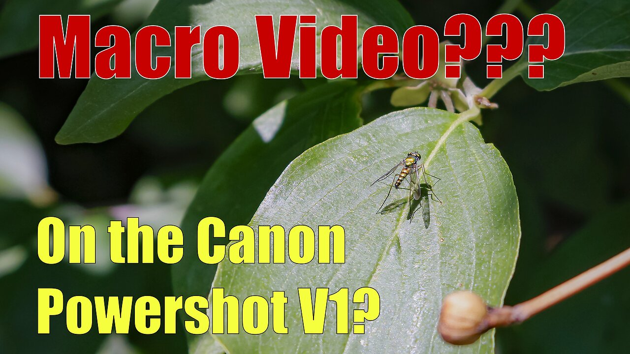 Canon Powershot V1 Macro Test – Stunning Insect & Nature Video Review