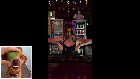 Funny videos compilation 20