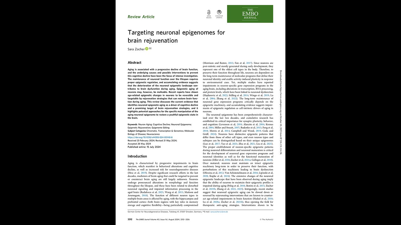 Brain Rejuvenation, by Sara Zocher 2024. A Puke(TM) AudioPaper