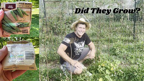 Did Green Beans from '93 Sprout?