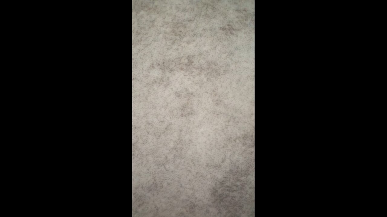 test 1